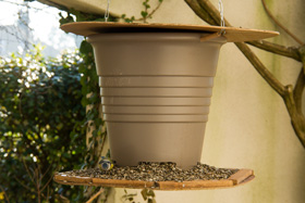 our bird feeder