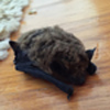 bat